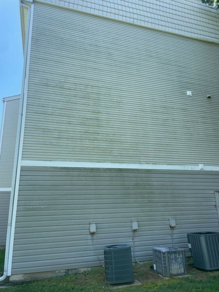 Gallery photos for Pressure Washing Project and Tree Knot Tackle: Image #1