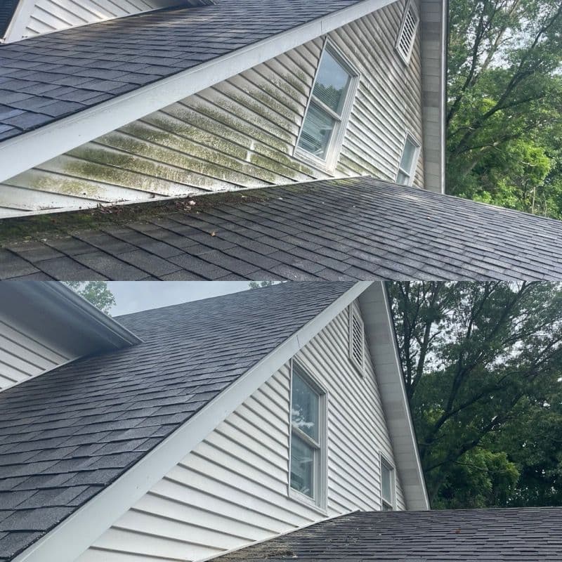 Dramatic Makeover with Professional Soft Washing image