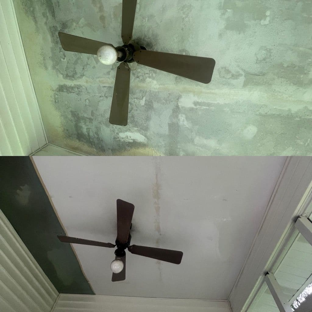 Gallery photos for Dramatic Makeover with Professional Soft Washing: Image #2